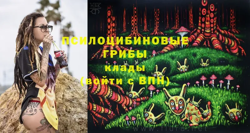 купить наркотик  блэк спрут зеркало  Псилоцибиновые грибы Psilocybe  Заволжье 